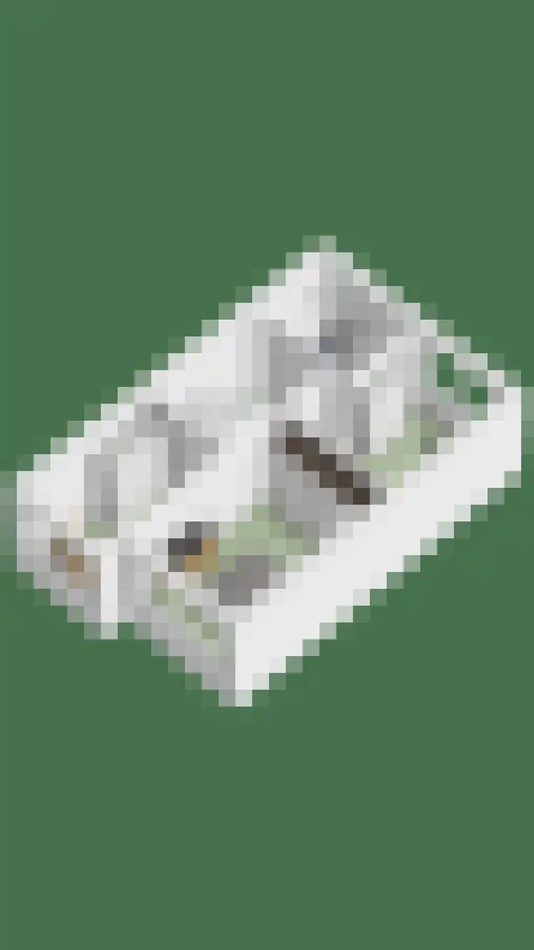 Parelmoervlinder 83 Oosterhout thumbnail 51