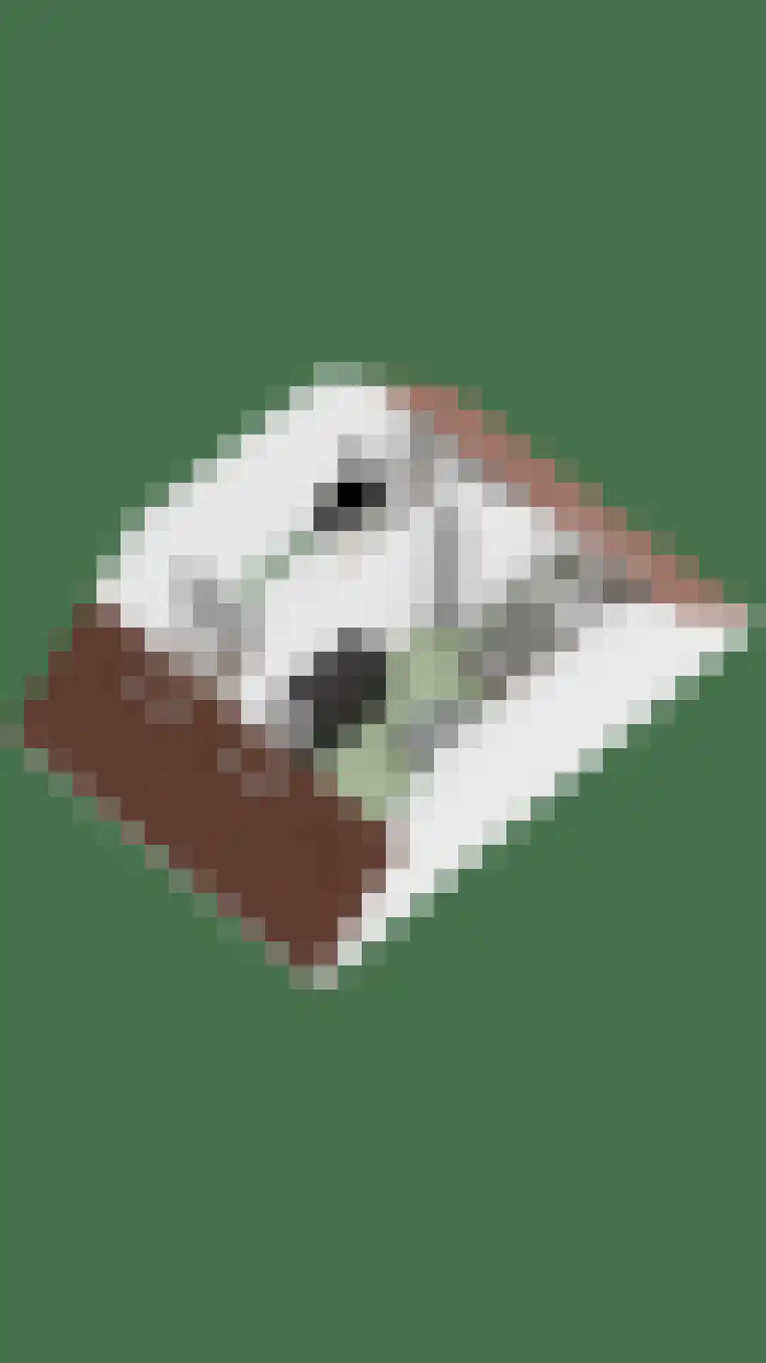 Parelmoervlinder 83 Oosterhout thumbnail 52