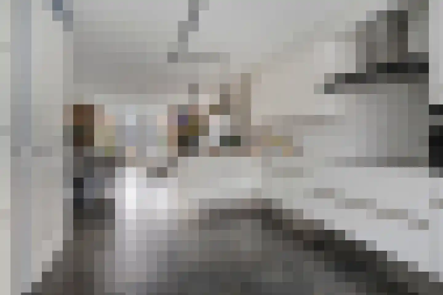 Parelmoervlinder 83 Oosterhout thumbnail 7