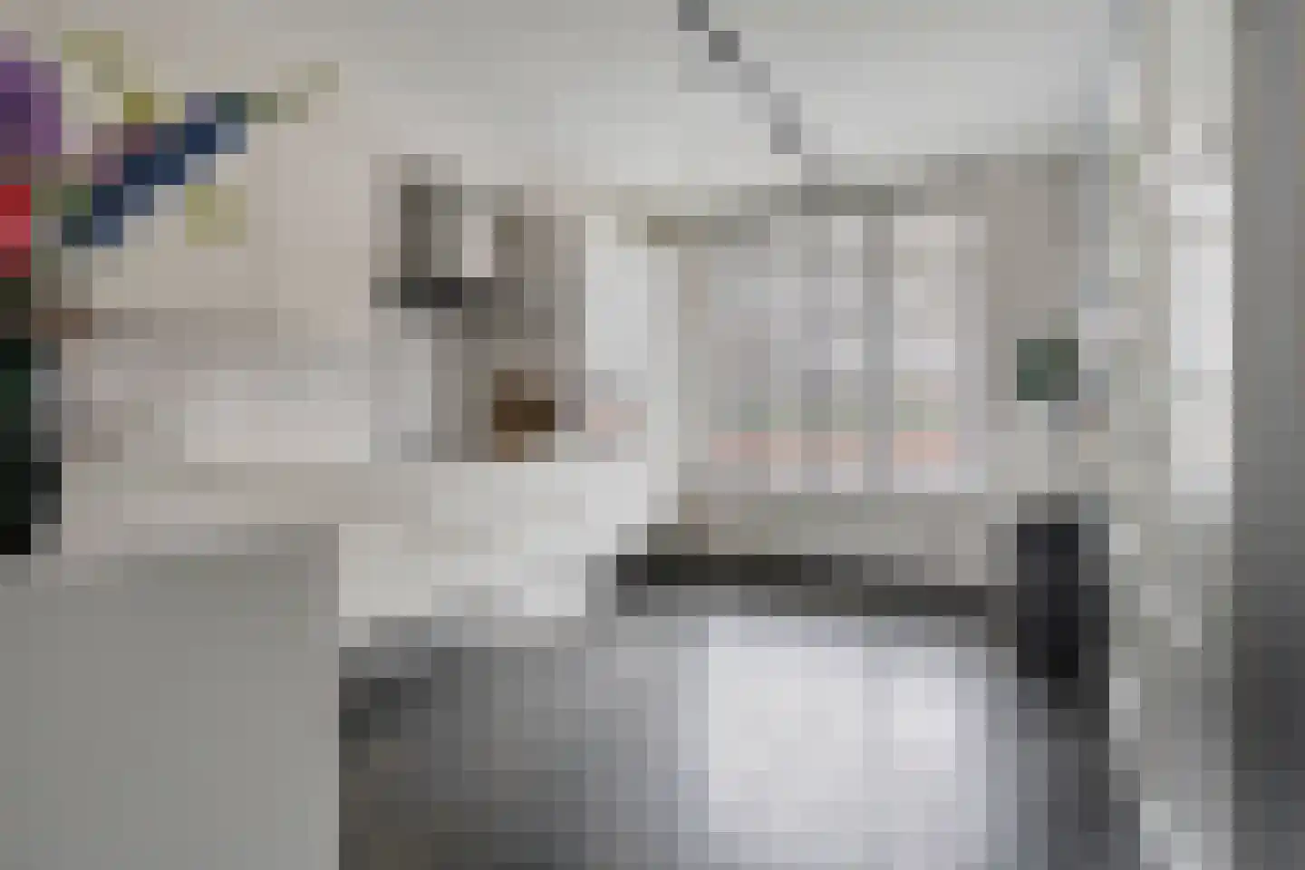 Parelmoervlinder 83 Oosterhout thumbnail 8