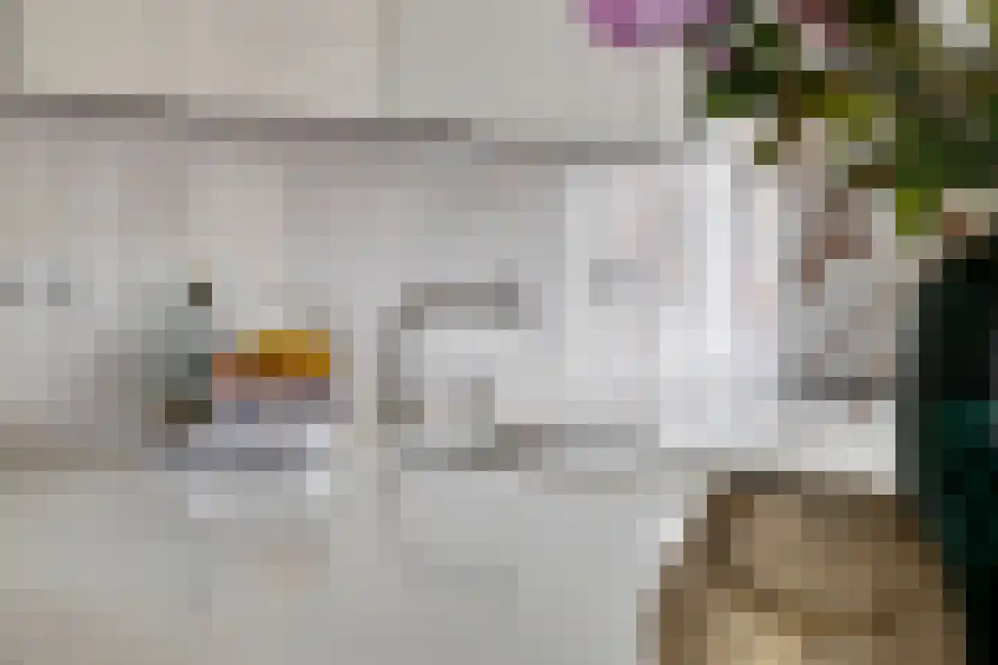 Parelmoervlinder 83 Oosterhout thumbnail 9