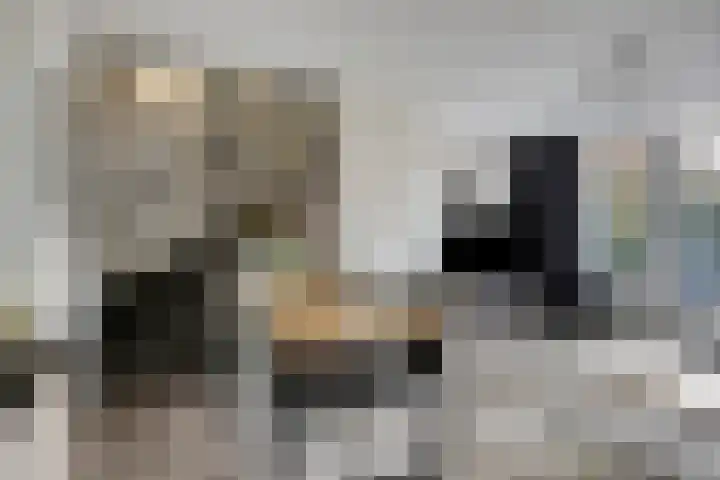 Parelmoervlinder 87 Oosterhout thumbnail 10
