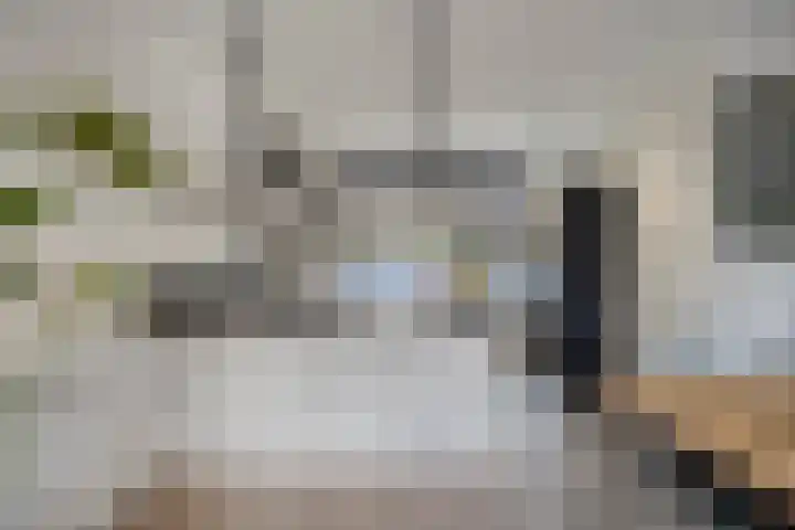 Parelmoervlinder 87 Oosterhout thumbnail 11