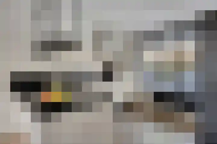 Parelmoervlinder 87 Oosterhout thumbnail 12