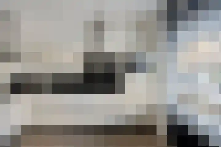 Parelmoervlinder 87 Oosterhout thumbnail 13