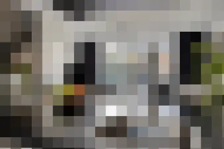 Parelmoervlinder 87 Oosterhout thumbnail 14