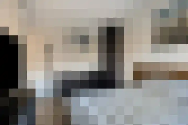 Parelmoervlinder 87 Oosterhout thumbnail 17