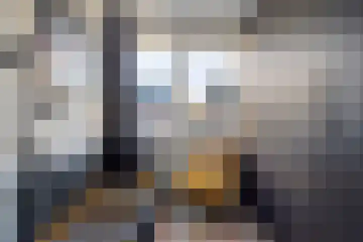 Parelmoervlinder 87 Oosterhout thumbnail 18