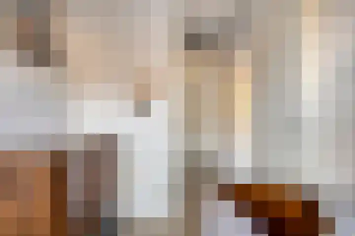 Parelmoervlinder 87 Oosterhout thumbnail 21
