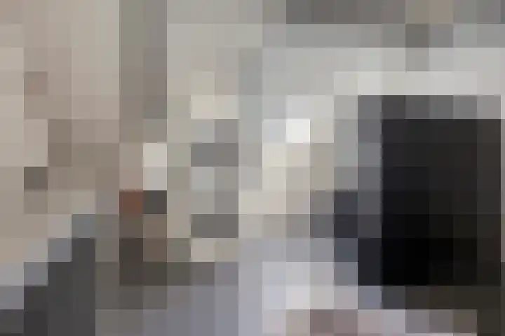 Parelmoervlinder 87 Oosterhout thumbnail 24