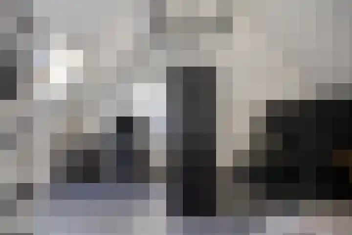 Parelmoervlinder 87 Oosterhout thumbnail 25