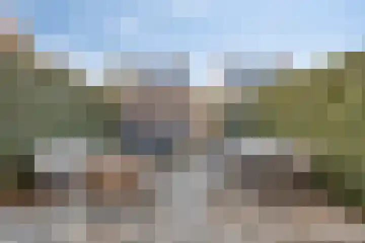 Parelmoervlinder 87 Oosterhout thumbnail 27