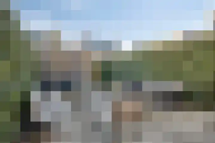 Parelmoervlinder 87 Oosterhout thumbnail 28