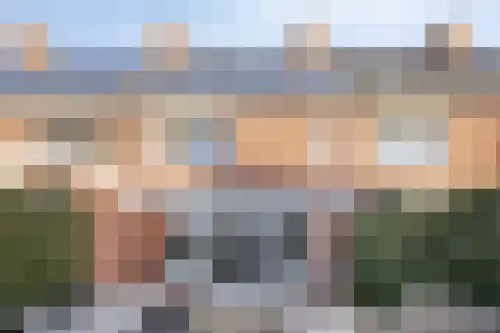 Parelmoervlinder 87 Oosterhout thumbnail 29