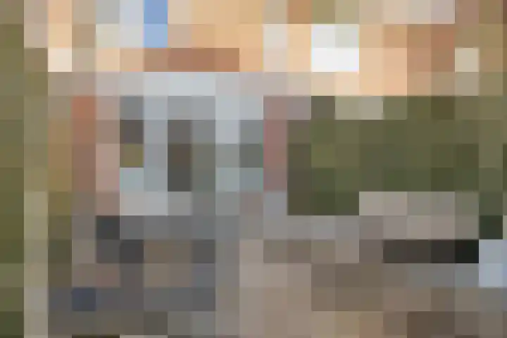 Parelmoervlinder 87 Oosterhout thumbnail 30