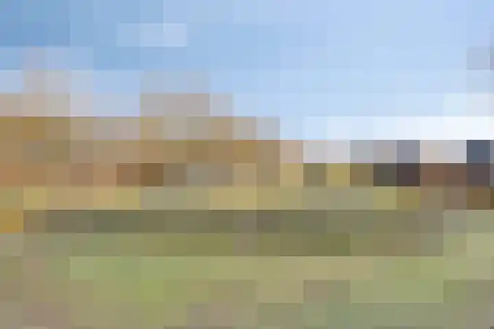 Parelmoervlinder 87 Oosterhout thumbnail 31
