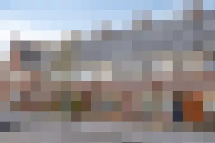 Parelmoervlinder 87 Oosterhout thumbnail 32