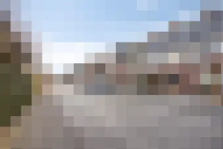 Parelmoervlinder 87 Oosterhout thumbnail 33