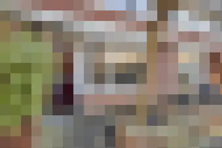 Parelmoervlinder 87 Oosterhout thumbnail 4