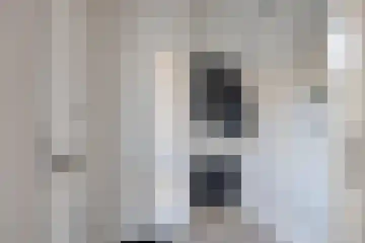 Parelmoervlinder 87 Oosterhout thumbnail 6