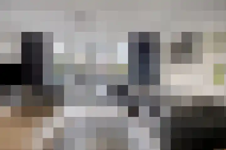 Parelmoervlinder 87 Oosterhout thumbnail 7