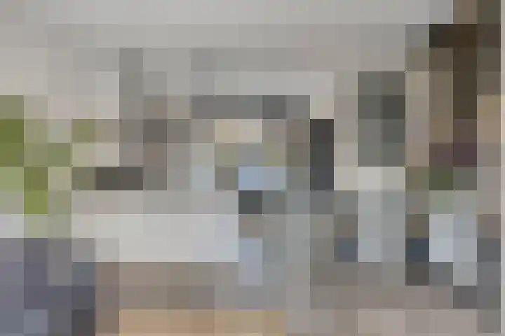 Parelmoervlinder 87 Oosterhout thumbnail 9