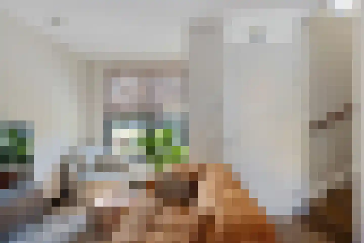 Parelmoervlinder 96 Enschede thumbnail 13