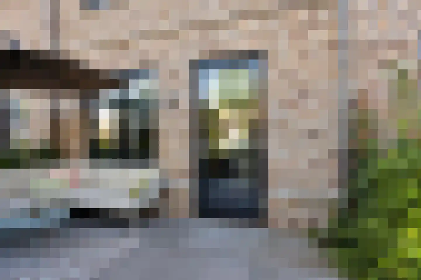 Parelmoervlinder 96 Enschede thumbnail 27