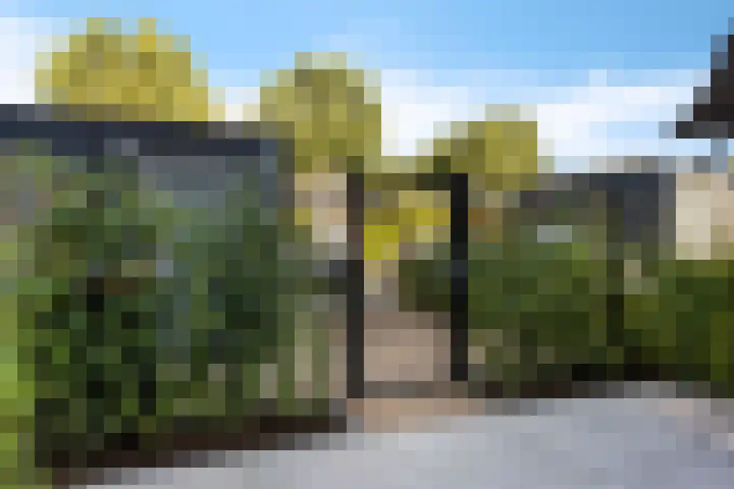 Parelmoervlinder 96 Enschede thumbnail 29