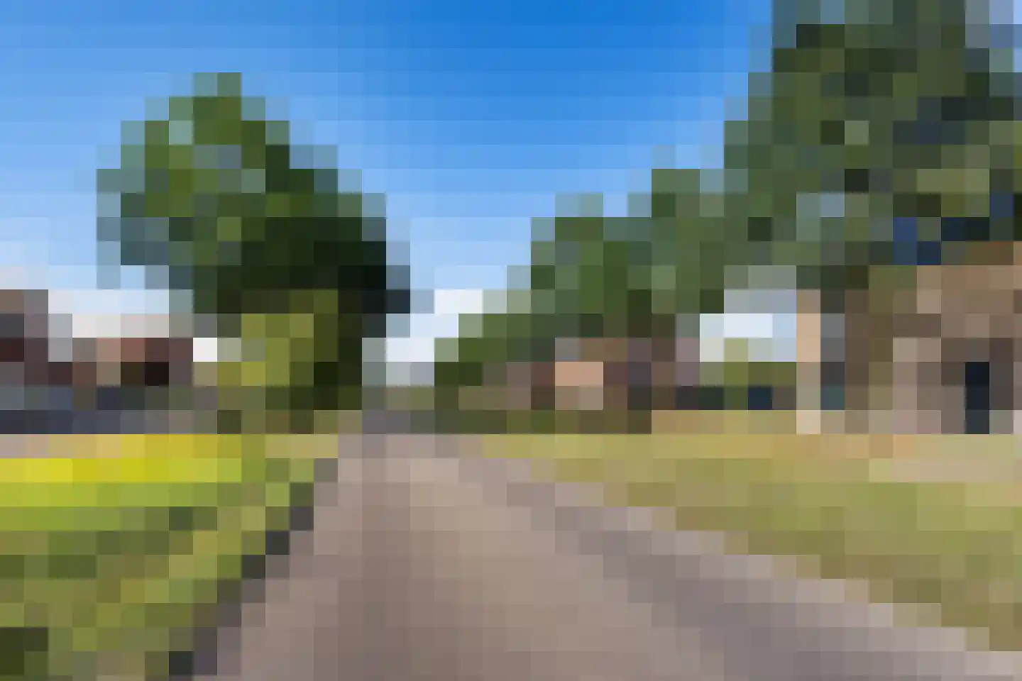Parelmoervlinder 96 Enschede thumbnail 39