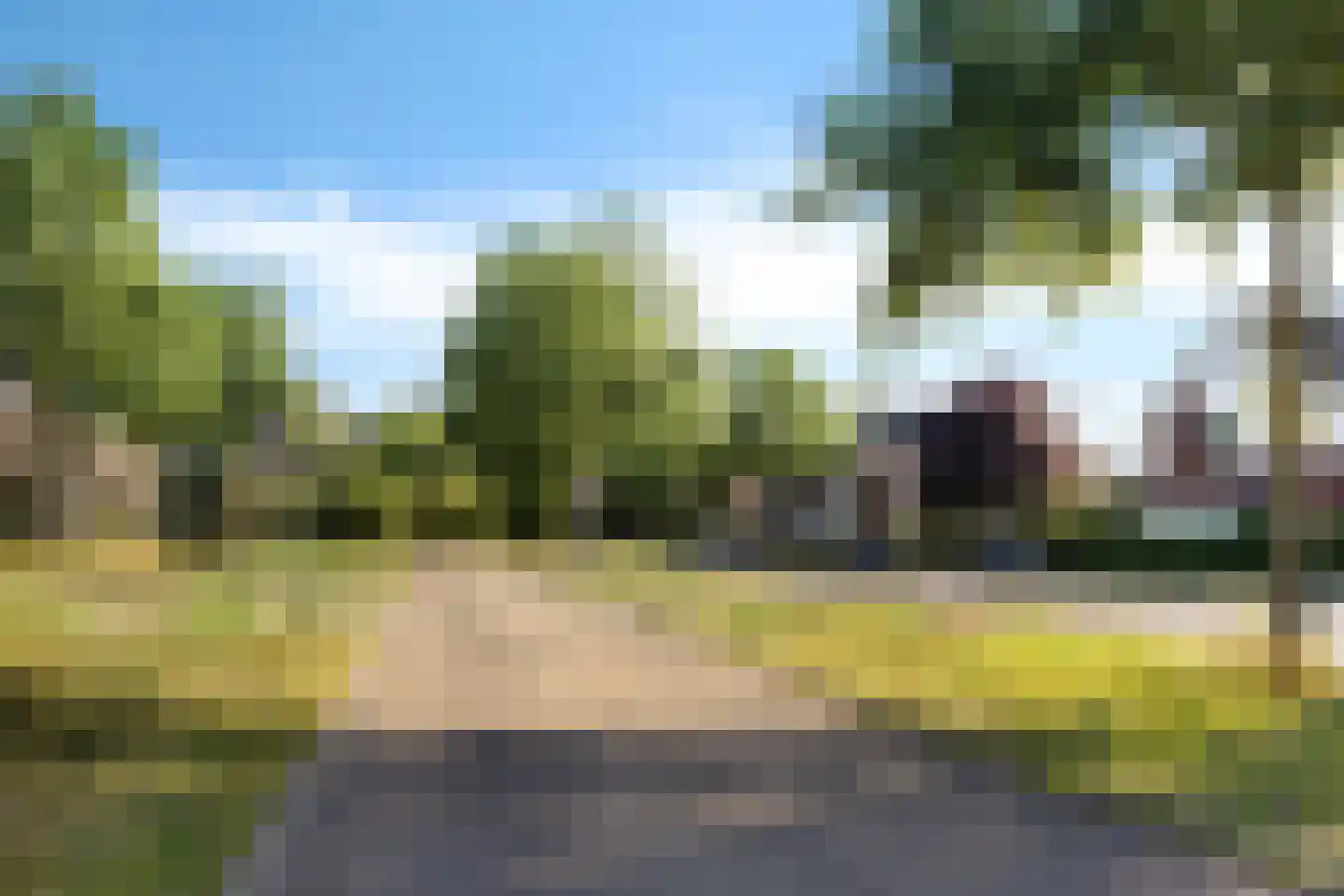 Parelmoervlinder 96 Enschede thumbnail 40