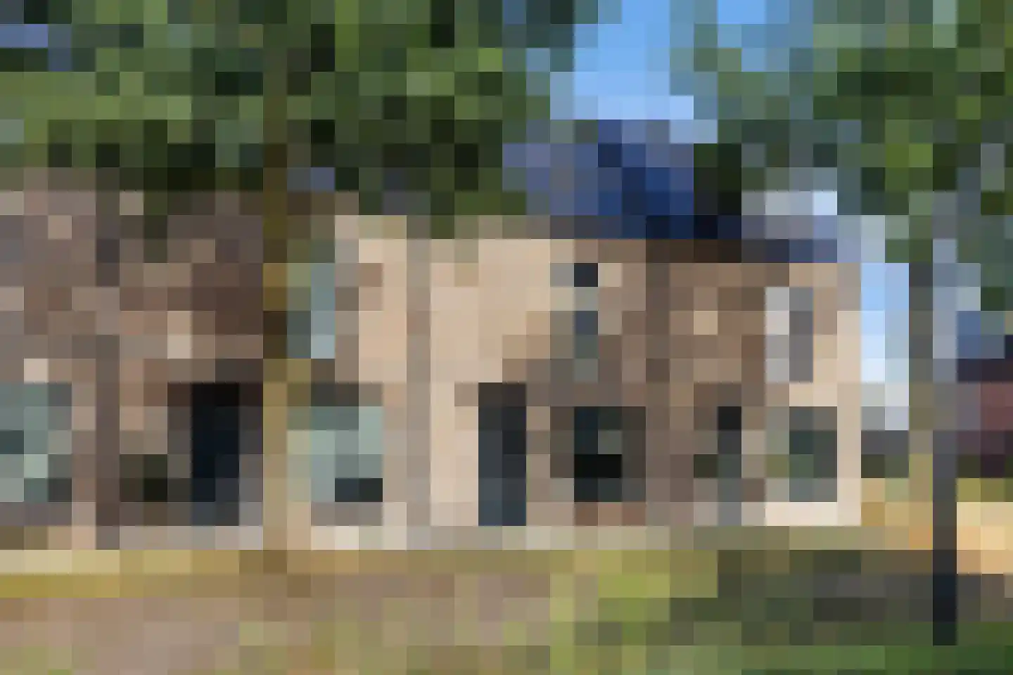 Parelmoervlinder 96 Enschede thumbnail 5