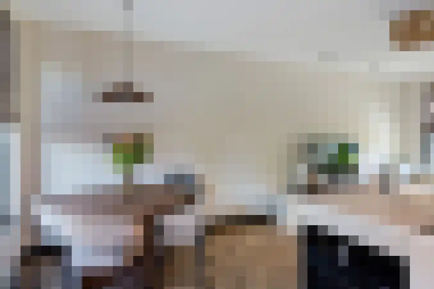 Parelmoervlinder 96 Enschede thumbnail 9