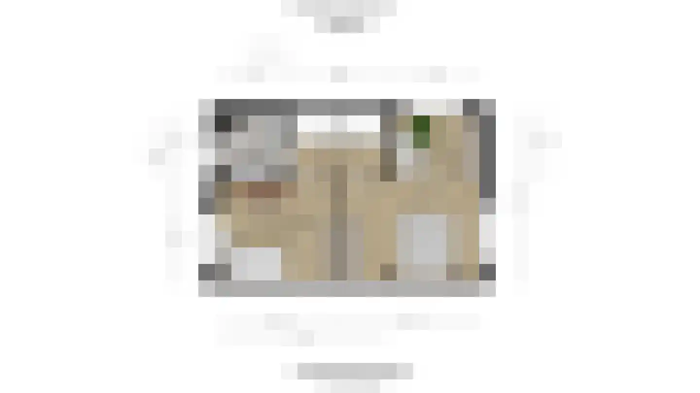 Parelmoervlinderlaan 1 Rijswijk thumbnail 44