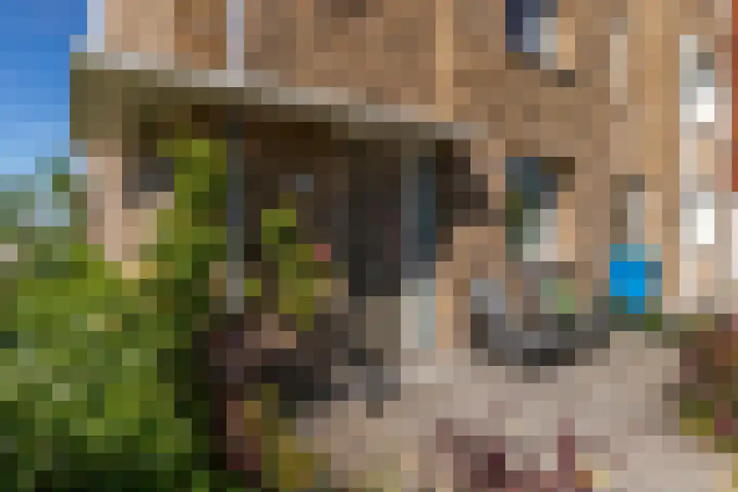 Parelmoervlinderlaan 1 Rijswijk thumbnail 5