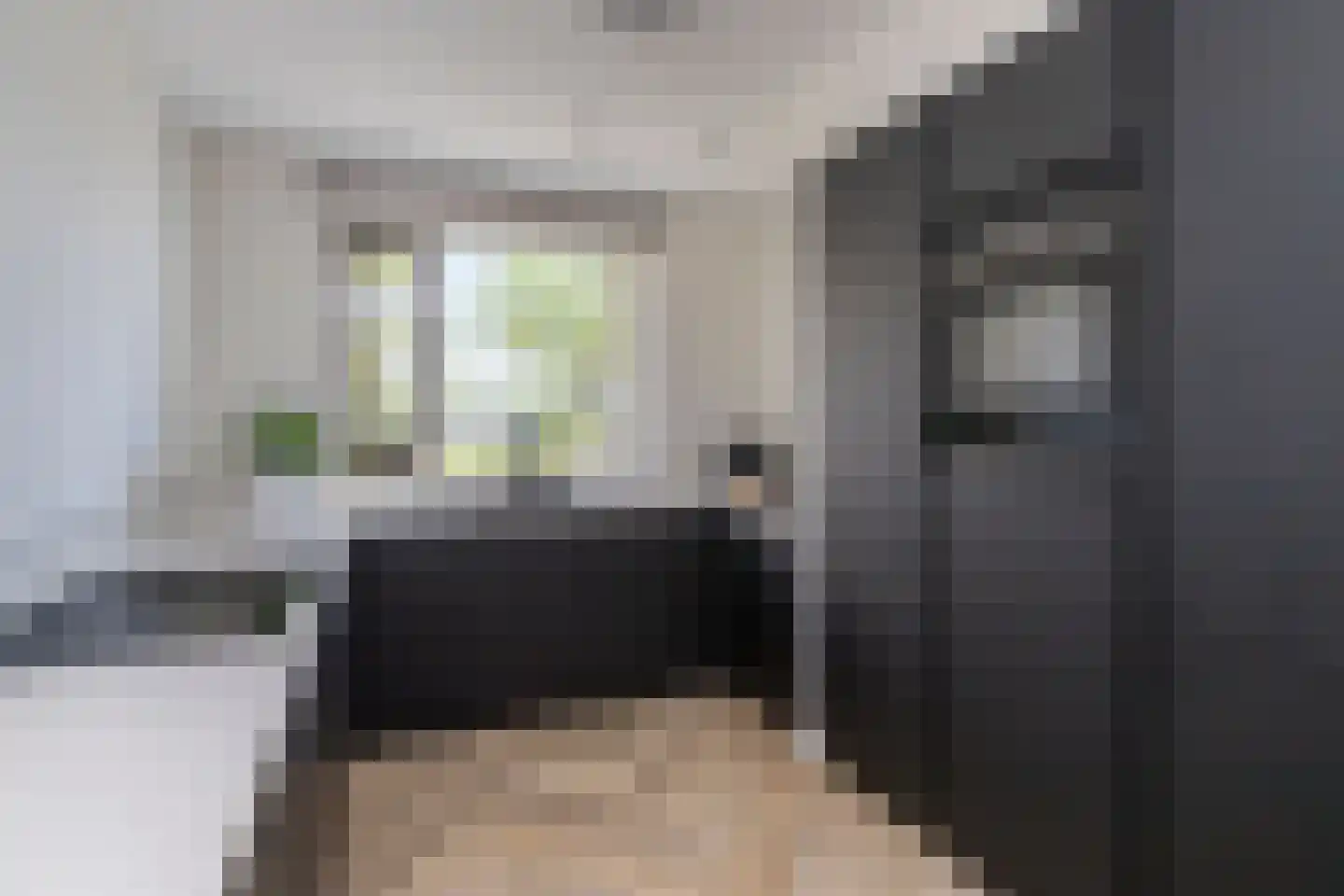 Parelmoervlinderlaan 1 Rijswijk thumbnail 9