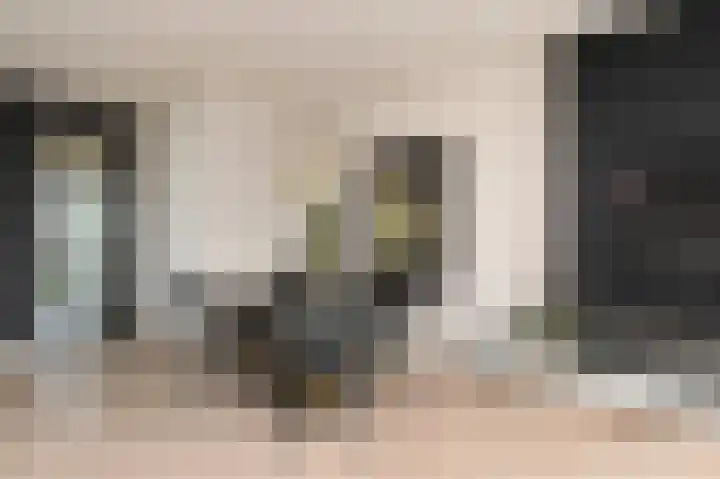 Parelmoervlinderlaan 105 Rijswijk thumbnail 15