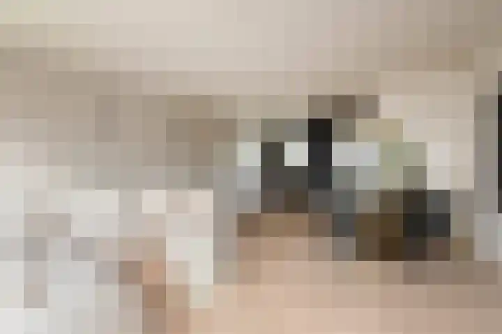 Parelmoervlinderlaan 105 Rijswijk thumbnail 17
