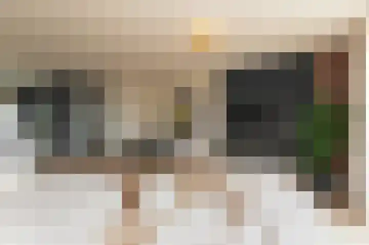 Parelmoervlinderlaan 105 Rijswijk thumbnail 18
