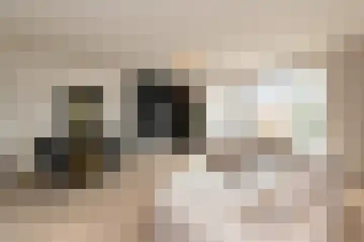 Parelmoervlinderlaan 105 Rijswijk thumbnail 19