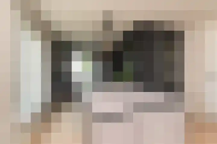 Parelmoervlinderlaan 105 Rijswijk thumbnail 20