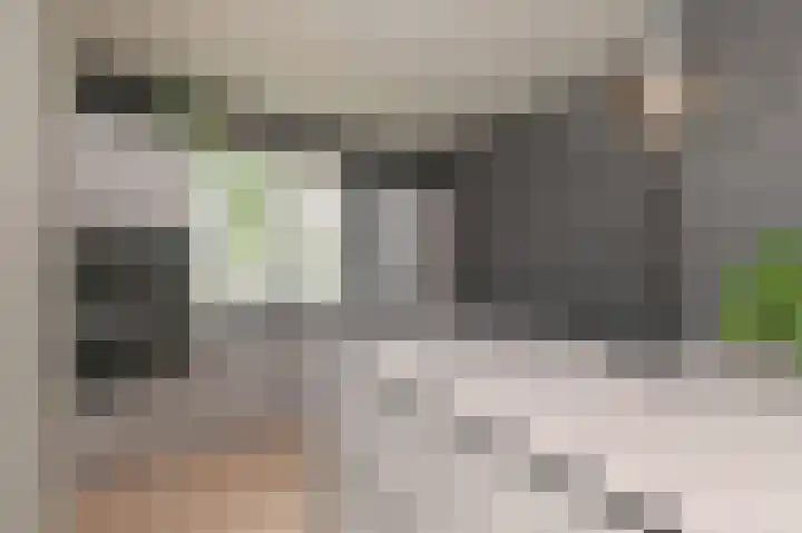 Parelmoervlinderlaan 105 Rijswijk thumbnail 21