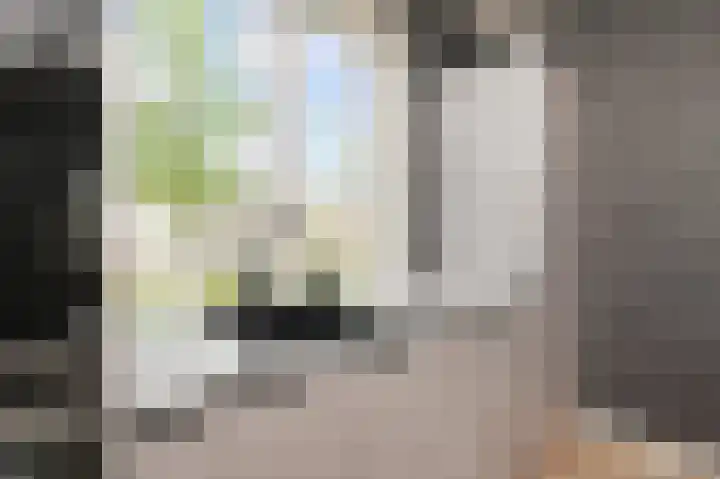 Parelmoervlinderlaan 105 Rijswijk thumbnail 22