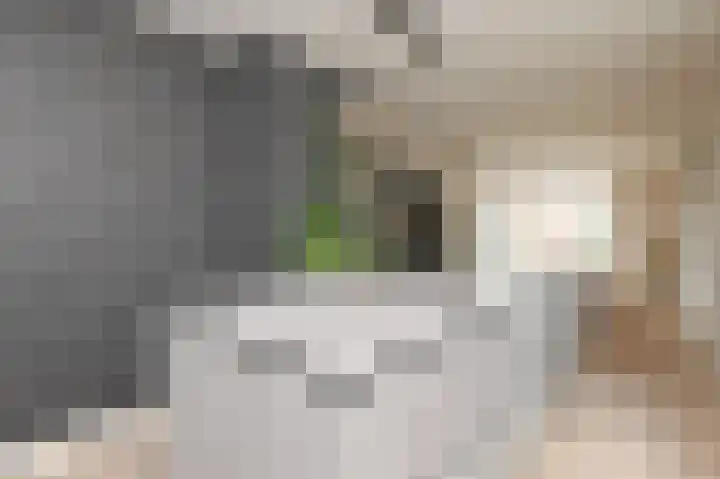 Parelmoervlinderlaan 105 Rijswijk thumbnail 23