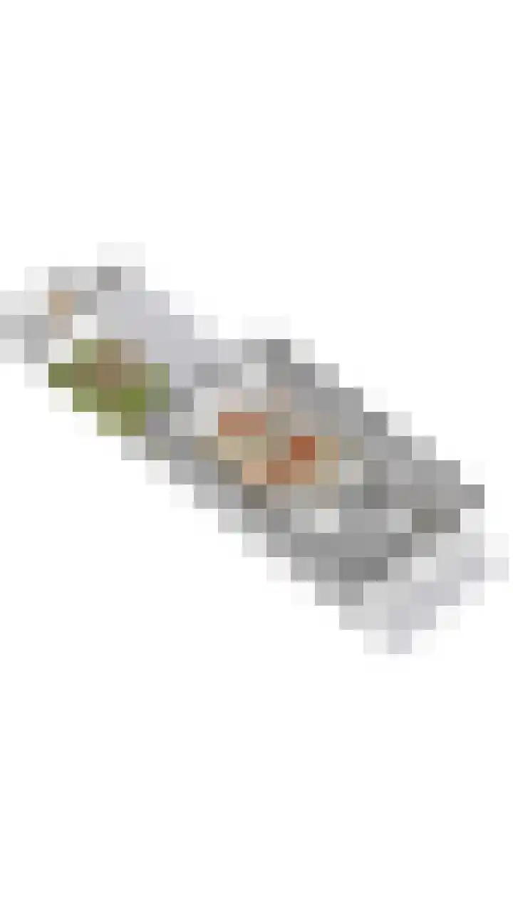 Parelmoervlinderlaan 105 Rijswijk thumbnail 27