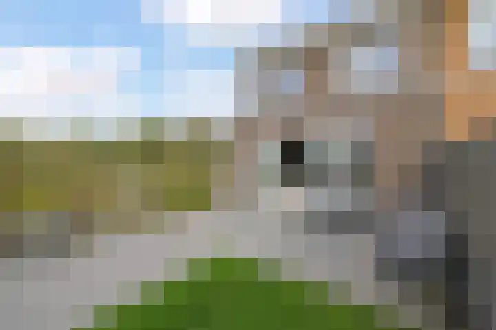 Parelmoervlinderlaan 105 Rijswijk thumbnail 34