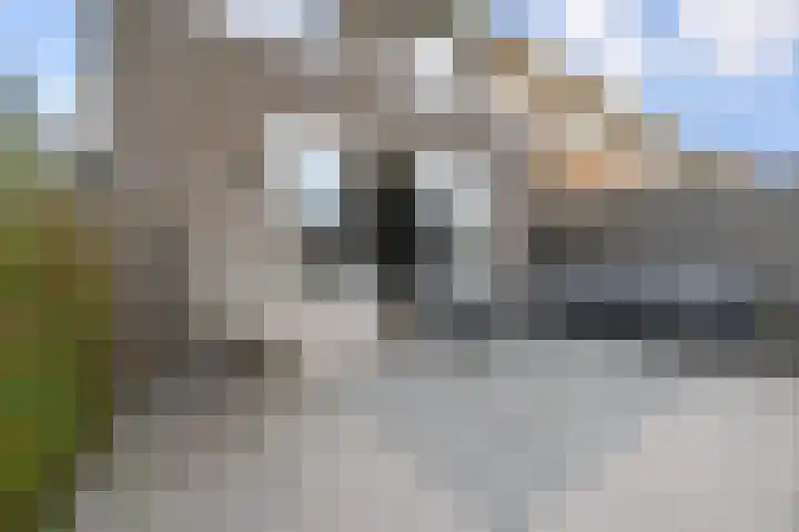 Parelmoervlinderlaan 105 Rijswijk thumbnail 35