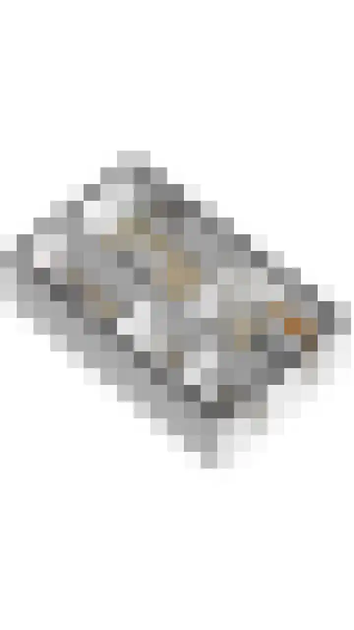 Parelmoervlinderlaan 105 Rijswijk thumbnail 37