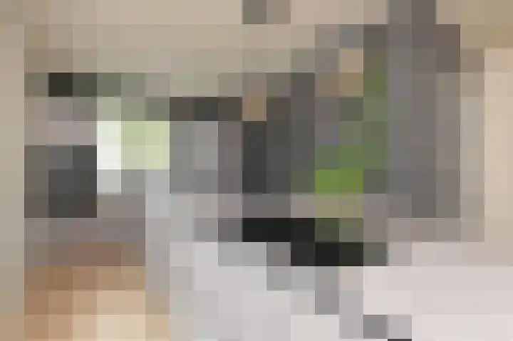 Parelmoervlinderlaan 105 Rijswijk thumbnail 4