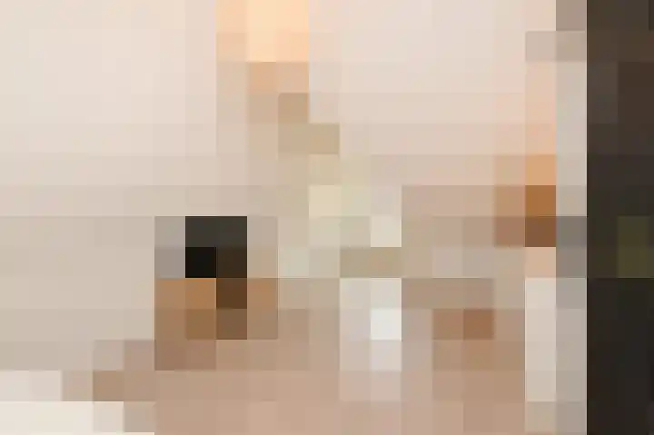 Parelmoervlinderlaan 105 Rijswijk thumbnail 53